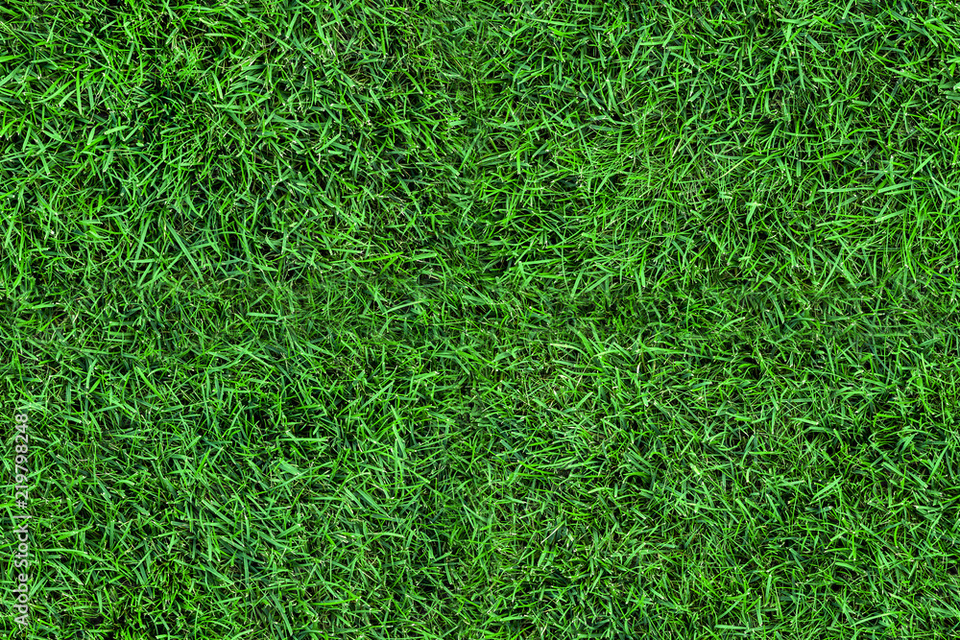 Artificial Turf